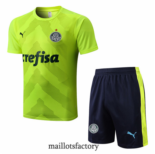 Achat Kit d'entrainement Maillot du Palmeiras + Short 2022/23 Vert/Bleu Marine y753
