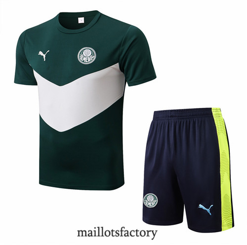Achat Kit d'entrainement Maillot du Palmeiras + Short 2022/23 Vert y755