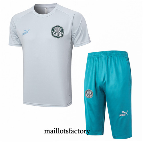 Kit d'entrainement Maillot du Palmeiras + Short 3/4 2023/24 Gris factory 0217