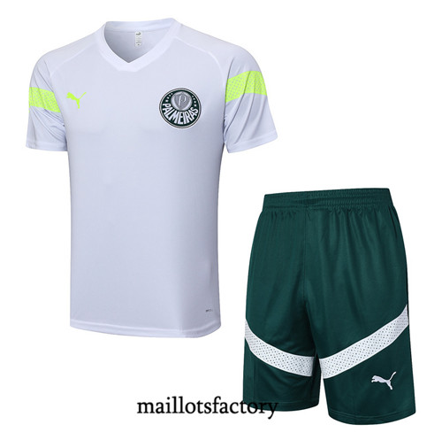 Kit d'entrainement Maillot du Palmeiras + Short 2023/24 Blanc factory 0218