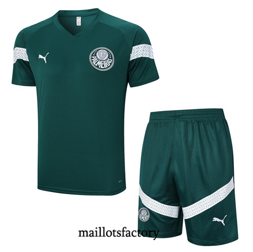 Kit d'entrainement Maillot du Palmeiras + Short 2023/24 Vert factory 0219